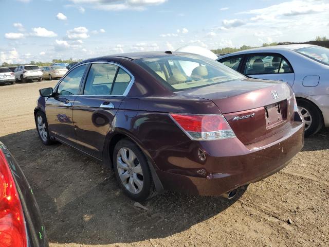 Photo 2 from auction – 2010 HONDA ACCORD EXL with VIN 5KBCP3F82AB010623