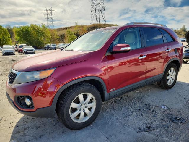 KIA SORENTO BA 2011 with VIN 5XYKTDA14BG054008 - Photo from auction