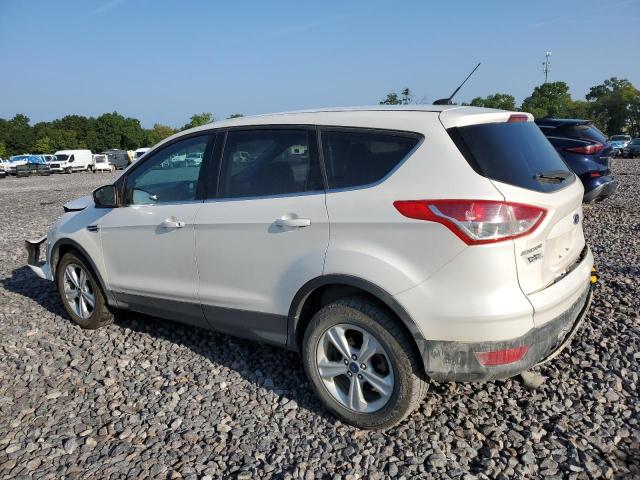 Photo 2 from auction – 2014 FORD ESCAPE SE with VIN 1FMCU0GX7EUB05831