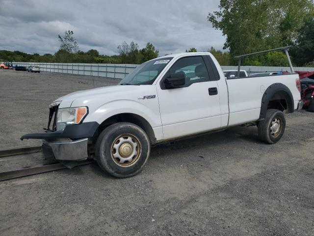 FORD F150 2014 with VIN 1FTPF1CFXEKG06260 - Photo from auction