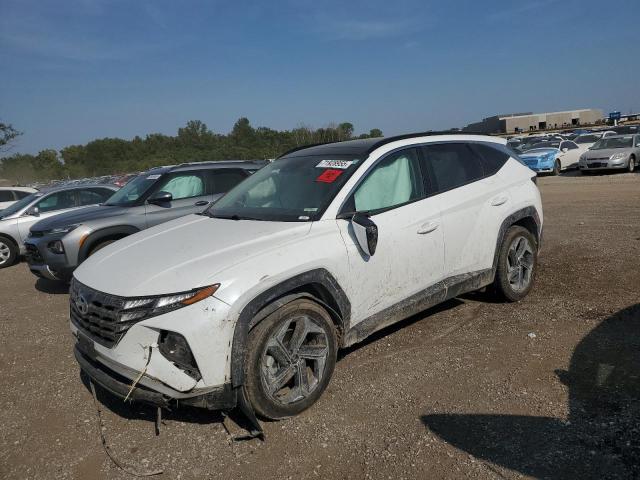 HYUNDAI TUCSON SEL 2022 with VIN KM8JFCA18NU011822 - Photo from auction
