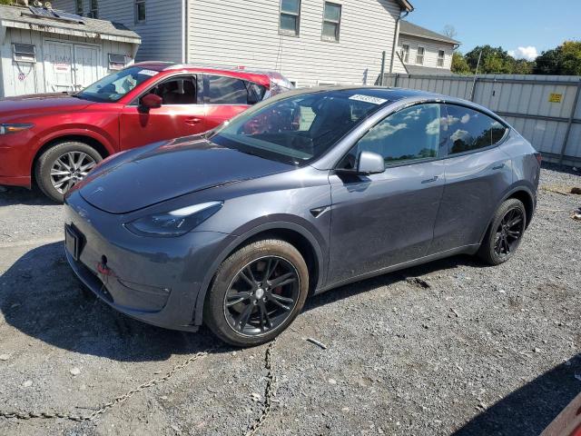 TESLA MODEL Y 2023 with VIN 7SAYGAEE8PF942790 - Photo from auction