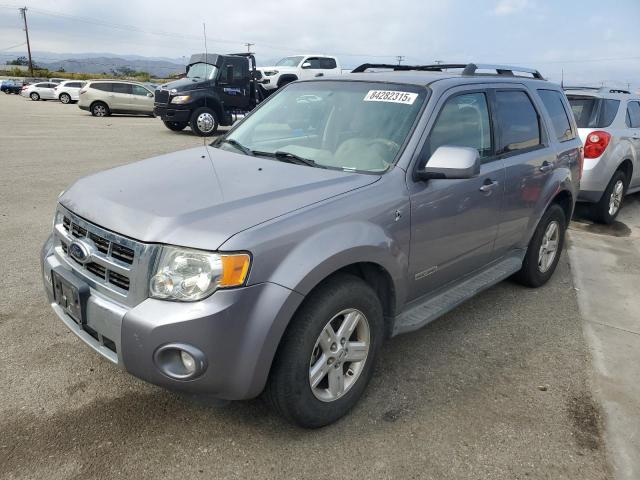 FORD ESCAPE HEV 2008 with VIN 1FMCU49H28KC40289 - Photo from auction