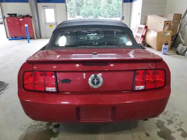 Photo 6 from auction – 2007 FORD MUSTANG with VIN 1ZVFT84N375324527