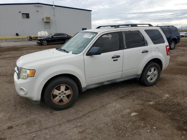 Photo 1 from auction – 2009 FORD ESCAPE XLT with VIN 1FMCU03G79KD11108