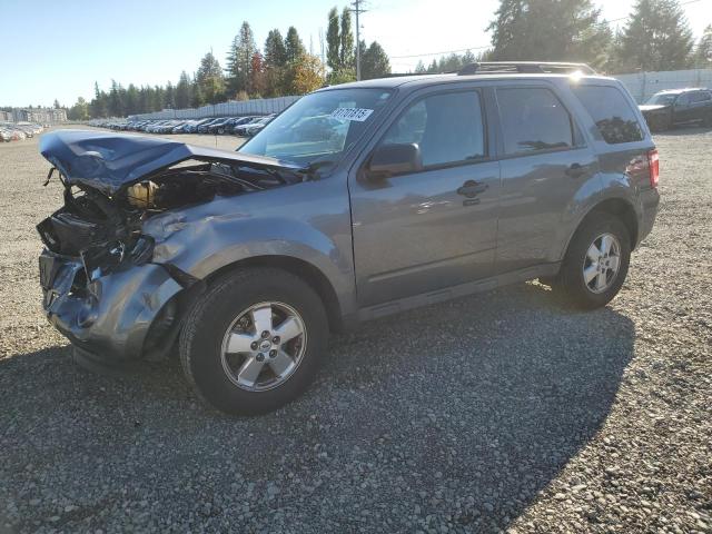 FORD ESCAPE XLT 2010 with VIN 1FMCU9D7XAKD27603 - Photo from auction