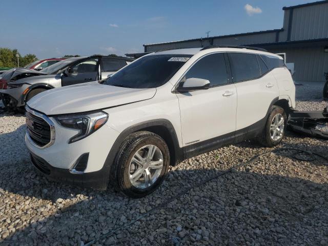 GMC TERRAIN SL 2019 with VIN 3GKALTEV1KL310167 - Photo from auction