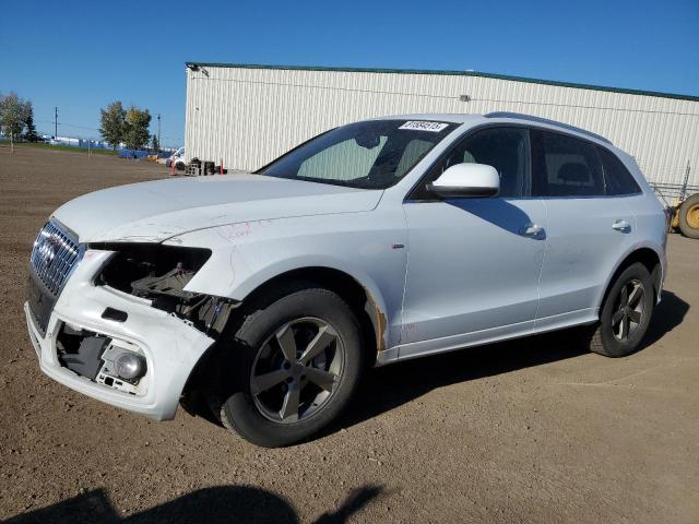 AUDI Q5 PREMIUM 2013 with VIN WA1MFCFP9DA005259 - Photo from auction