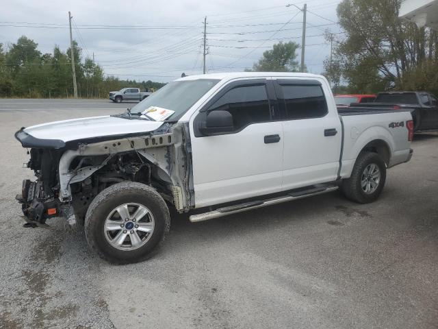 FORD F150 2019 with VIN 1FTEW1EP1KFC67843 - Photo from auction