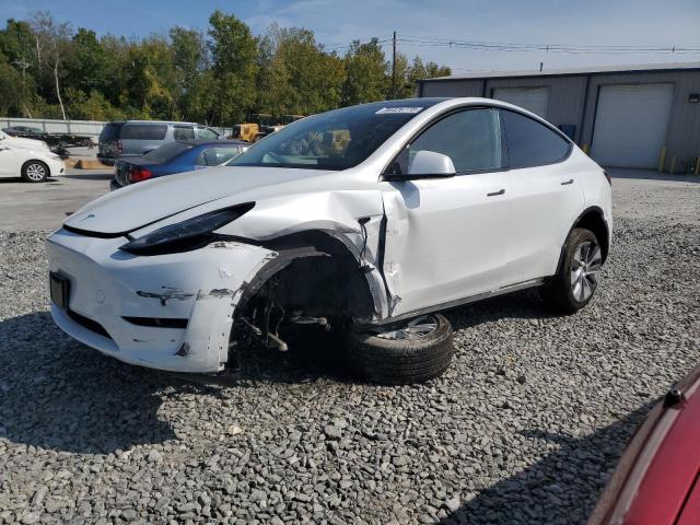 TESLA MODEL Y 2023 with VIN 7SAYGDEE6PA097596 - Photo from auction