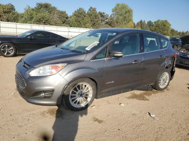 FORD C-MAX SEL 2013 with VIN 1FADP5BU0DL542641 - Photo from auction