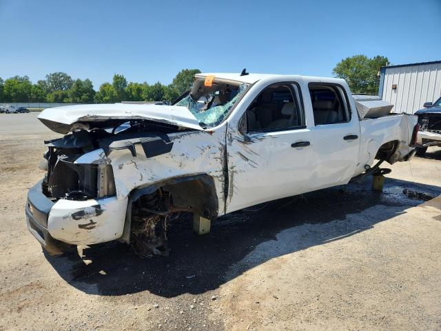 CHEVROLET SILVERADO 2009 with VIN 3GCEK23MX9G157134 - Photo from auction