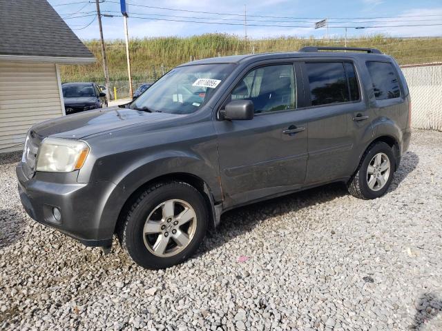 HONDA PILOT EX 2009 with VIN 5FNYF48439B026087 - Photo from auction