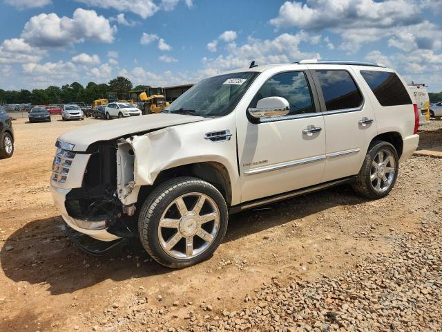 CADILLAC ESCALADE P 2010 with VIN 1GYUCCEF2AR189782 - Photo from auction