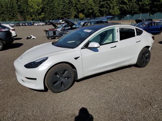 TESLA MODEL 3 2023 with VIN 5YJ3E1EB1PF696698 - Photo from auction