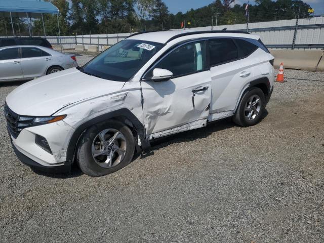 HYUNDAI TUCSON SEL 2023 with VIN 5NMJBCAE5PH285038 - Photo from auction