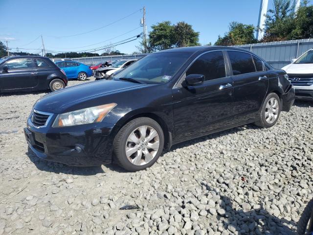 HONDA ACCORD EXL 2010 with VIN 5KBCP3F82AB010489 - Photo from auction