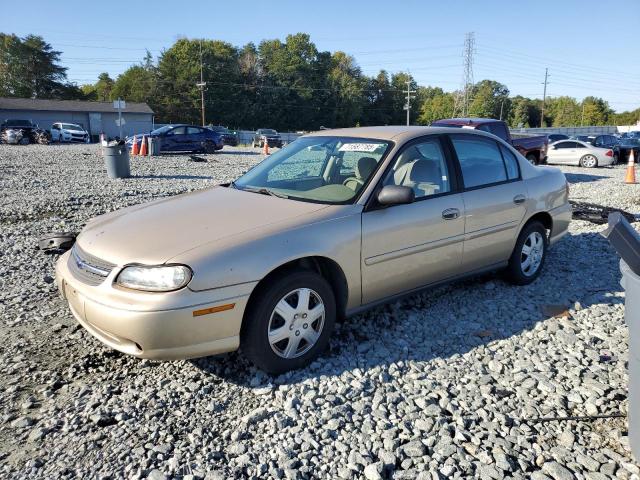 CHEVROLET CLASSIC 2005 with VIN 1G1ND52F95M128867 - Photo from auction
