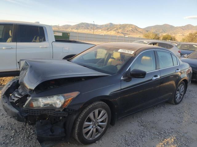 Photo 1 from auction – 2011 HONDA ACCORD EXL with VIN 1HGCP3F85BA019620
