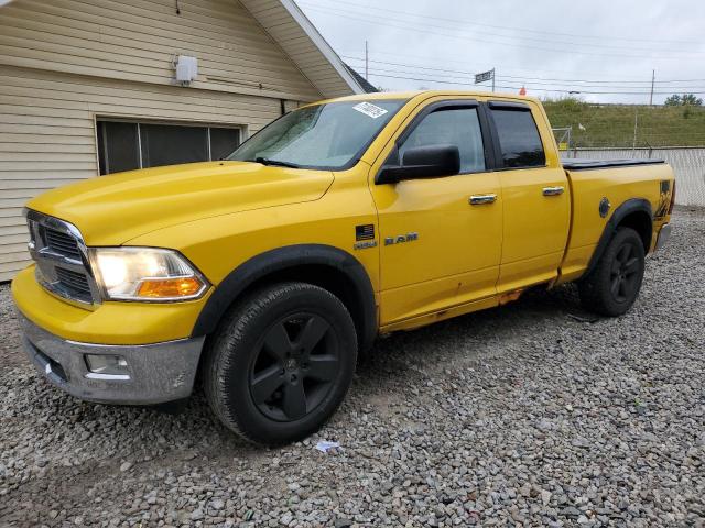 DODGE RAM 1500 2009 with VIN 1D3HV18T09S816157 - Photo from auction