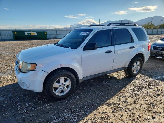 FORD ESCAPE XLT 2008 with VIN 1FMCU03118KA05435 - Photo from auction