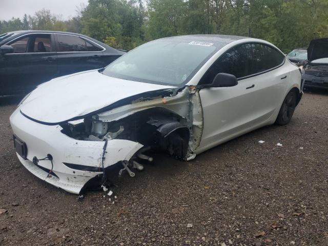 TESLA MODEL 3 2019 with VIN 5YJ3E1EA2KF480455 - Photo from auction