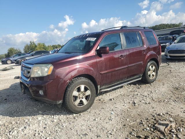 HONDA PILOT EXL 2009 with VIN 5FNYF38529B021806 - Photo from auction