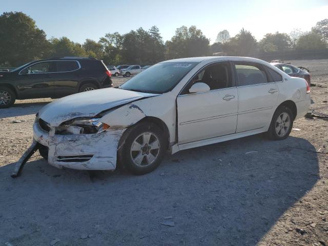 CHEVROLET IMPALA 1LT 2009 with VIN 2G1WT57K091182802 - Photo from auction