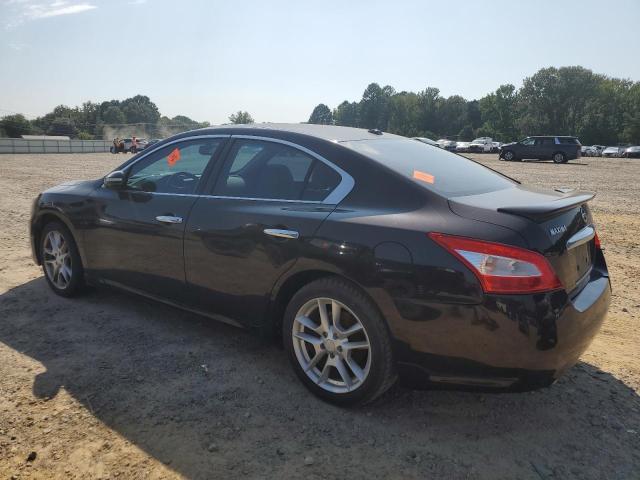 Photo 2 from auction – 2011 NISSAN MAXIMA S with VIN 1N4AA5APXBC835282