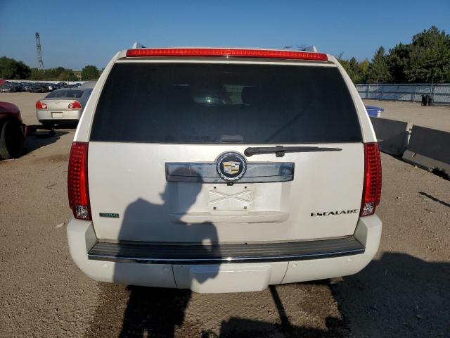 Photo 6 from auction – 2010 CADILLAC ESCALADE E with VIN 1GYUKJEF0AR284266