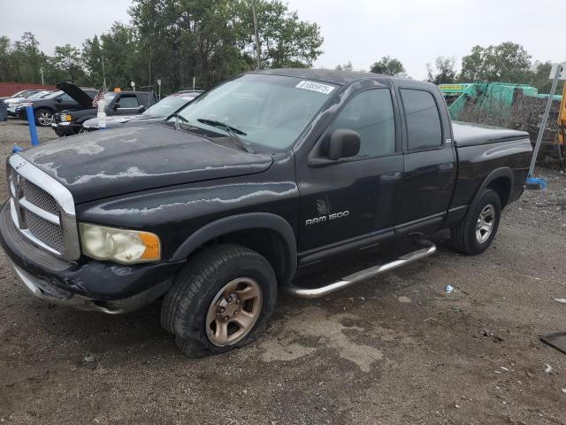 DODGE RAM 1500 2002 with VIN 3D7HU18N72G127071 - Photo from auction