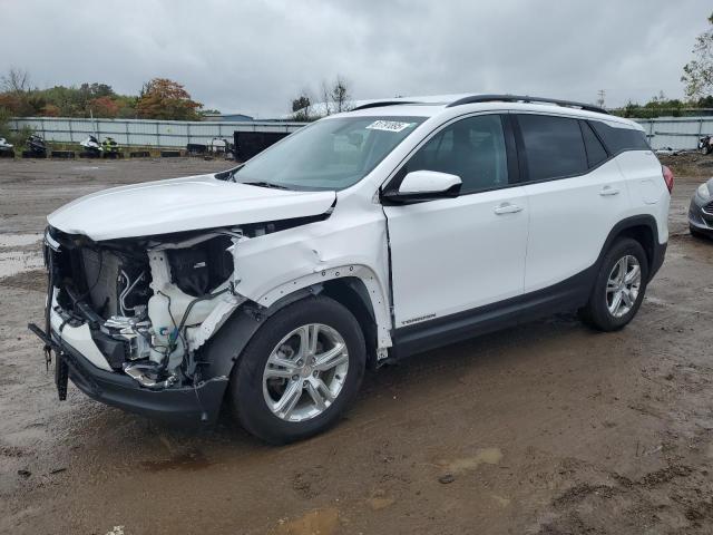 GMC TERRAIN SL 2019 with VIN 3GKALTEV3KL103733 - Photo from auction