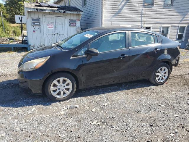KIA RIO EX 2013 with VIN KNADN4A36D6115169 - Photo from auction