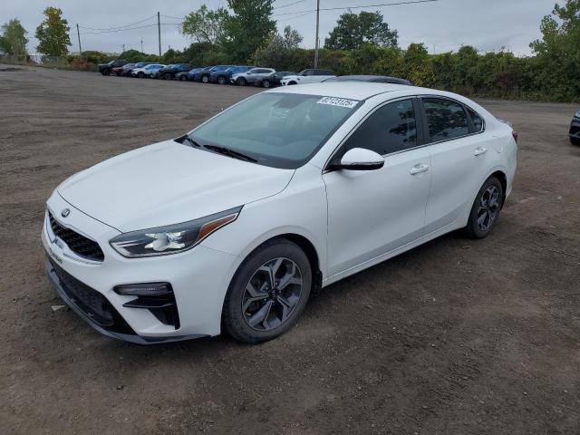KIA FORTE EX 2019 with VIN 3KPF54AD2KE123166 - Photo from auction