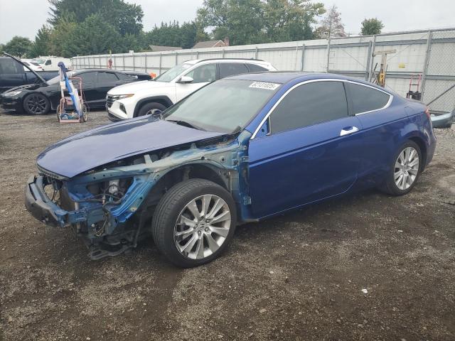 HONDA ACCORD EXL 2010 with VIN 1HGCS2B89AA009251 - Photo from auction