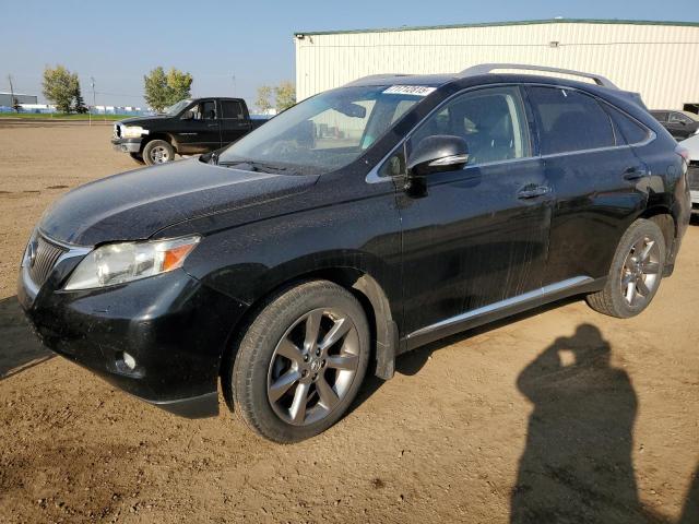 LEXUS RX 350 2010 with VIN JTJBK1BA6A2416278 - Photo from auction