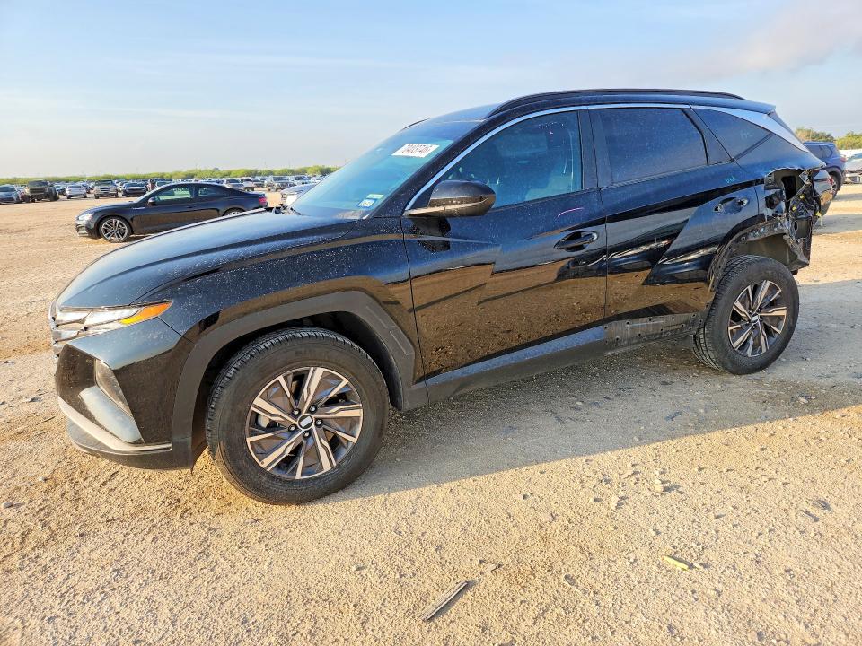 HYUNDAI TUCSON 2024 с VIN KM8JBCD13RU195550 - Снимка от търг