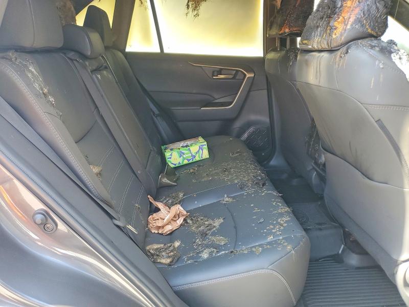 Photo 10 from auction – 2024 TOYOTA RAV4 with VIN 2T3A1RFV4RC452990