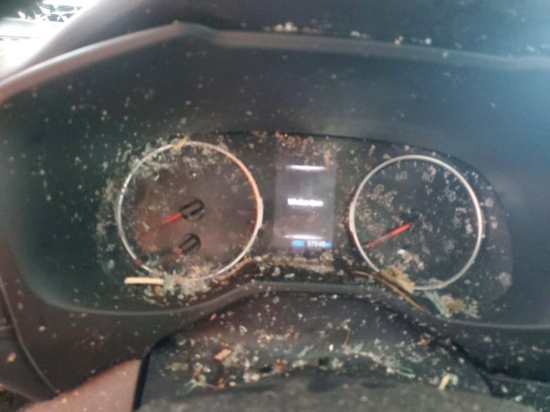 Photo 9 from auction – 2019 TOYOTA RAV4 with VIN 2T3F1RFV5KW042547