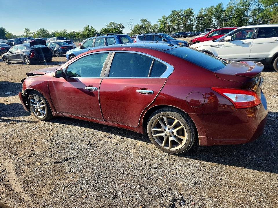 Photo 2 from auction – 2010 NISSAN MAXIMA with VIN 1N4AA5AP1AC845021
