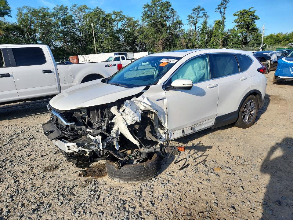 HONDA CR-V 2022 with VIN 5J6RT6H84NL006976 - Photo from auction