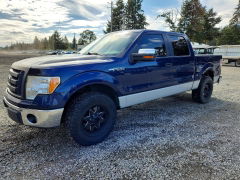 Zdjęcie 1 z aukcji – 2009 FORD F150 z VIN 1FTRW12829FA07413