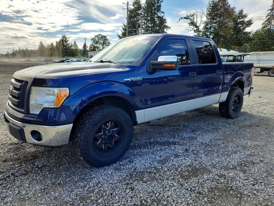 FORD F150 2009 z numerem VIN 1FTRW12829FA07413 - Zdjęcie z aukcji