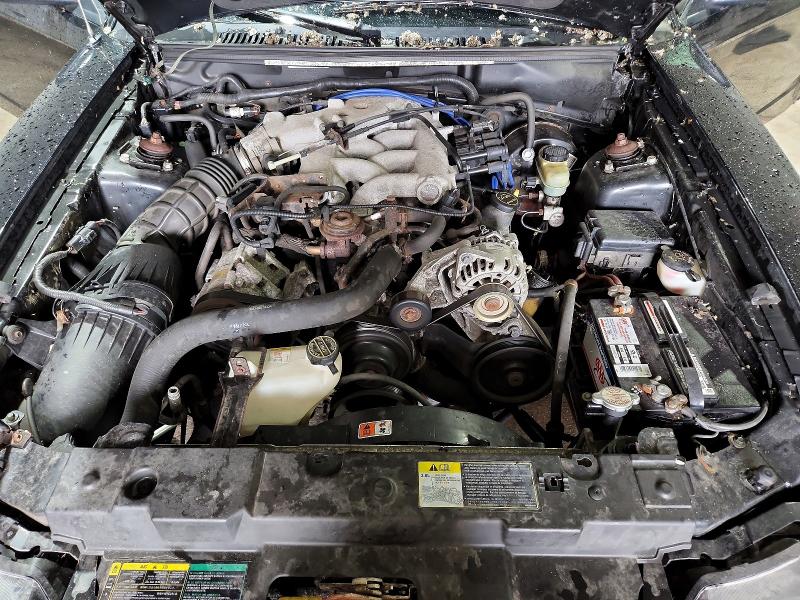 Photo 11 from auction – 2003 FORD MUSTANG with VIN 1FAFP44433F440263