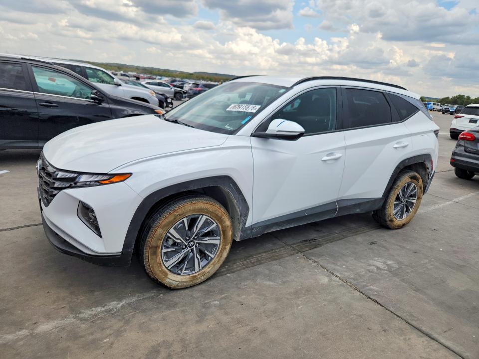 HYUNDAI TUCSON 2023 с VIN KM8JBCA1XPU117073 - Снимка от търг