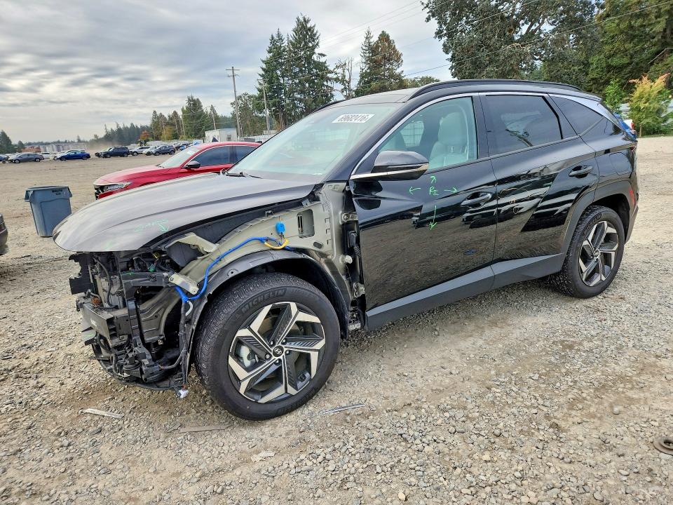 HYUNDAI TUCSON 2023 with VIN KM8JECA12PU099417 - Photo from auction
