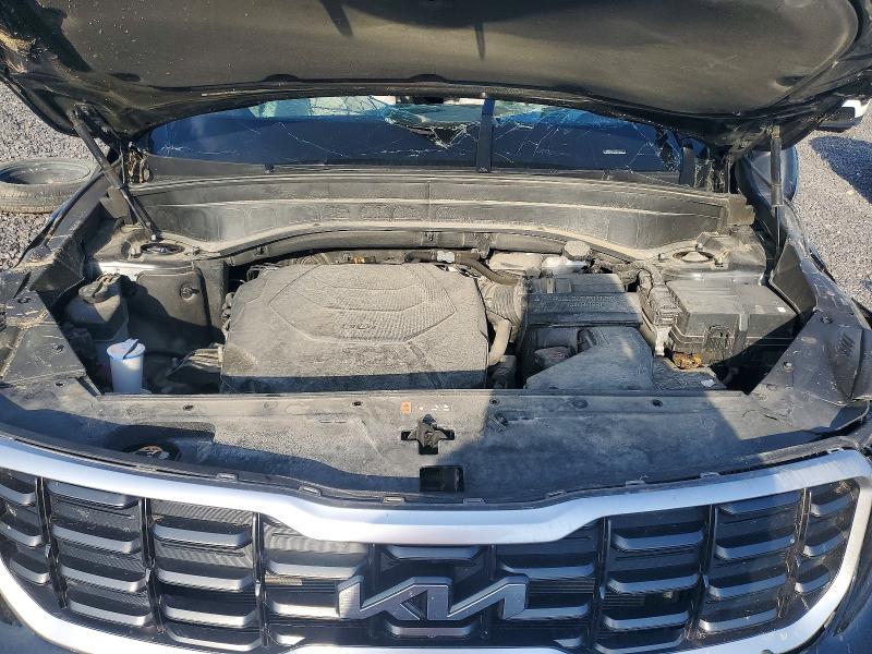 Снимка 12 от търг – 2024 KIA TELLURIDE с VIN 5XYP6DGC4RG521489