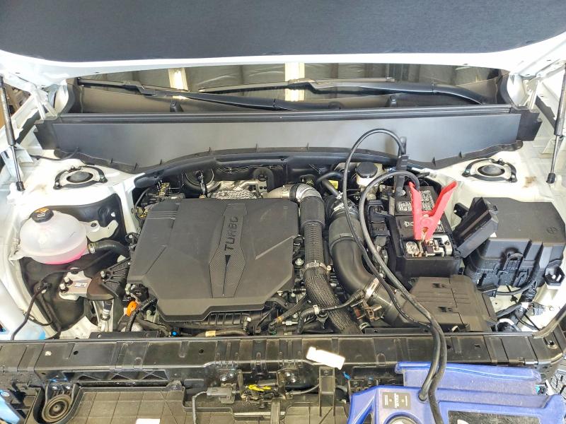 Photo 12 from auction – 2027 KIA TELLURIDE with VIN 5XYPLES14VG003591