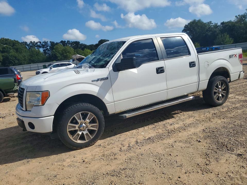 FORD F150 2014 with VIN 1FTFW1EF5EKG30796 - Photo from auction