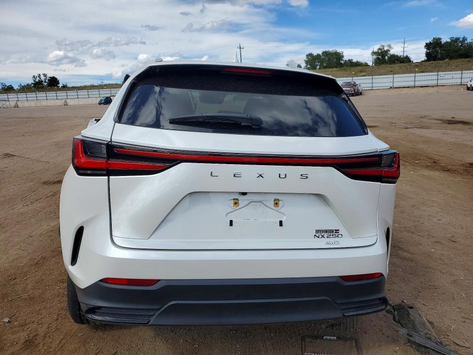 صورة رقم 6 من المزاد - 2022 LEXUS NX مع VIN 2T2ADCEZXNC001893